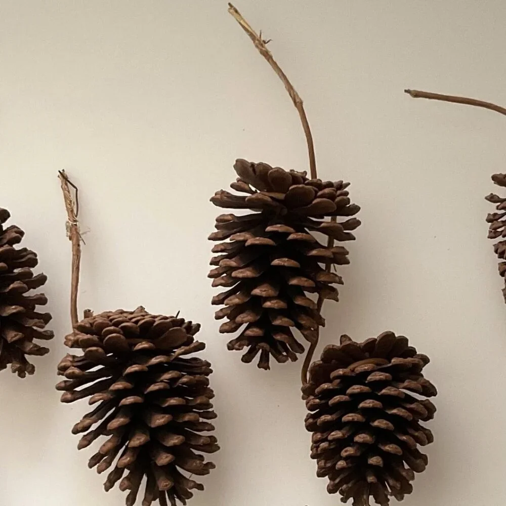 DIY PINE CONES AND CURLY TWIGS 13 COUNT